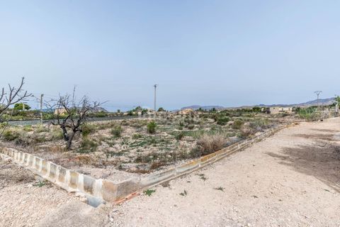 Finca in Alicante, Alicante - Foto 5
