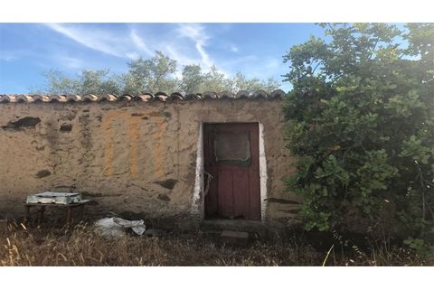 Landejendom i Beja, Beja, Beja - € 25.000 | Ref: BYS-533 - foto 2