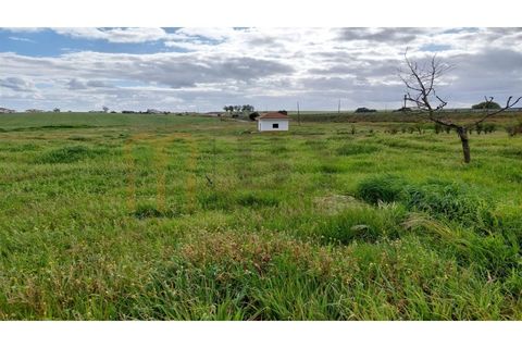 Terra a Castro Verde, Beja, Castro Verde - € 300.000 | Ref: BYS-782 - foto 2