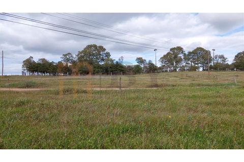 Terra a Castro Verde, Beja, Castro Verde - € 300.000 | Ref: BYS-782 - foto 4