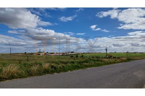 Terra a Castro Verde, Beja, Castro Verde - € 300.000 | Ref: BYS-782 - foto 7