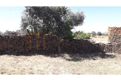 Landejendom i Beja, Beja, Beja - € 29.900 | Ref: BYS-552 - foto 2