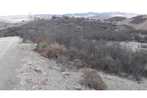 Tomt i Beja, Beja, Beja - € 18 500 | Ref: BYS-437 - foto 2