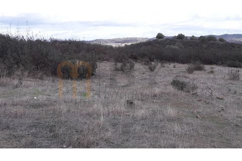 Tomt i Beja, Beja, Beja - € 18 500 | Ref: BYS-437 - foto 5