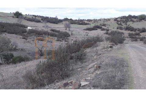 Helårsgrund i Beja, Beja, Beja - € 14.500 | Ref: BYS-439 - foto 3