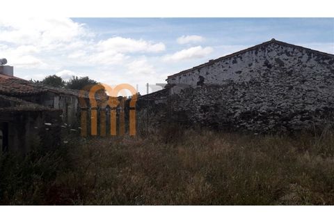 Landejendom i Beja, Beja, Beja - € 45.000 | Ref: BYS-397 - foto 7