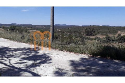 Farm i Beja, Beja, Beja - € 29.500 | Ref: BYS-347 - foto 6