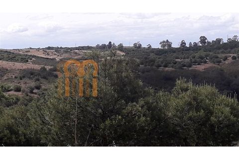 Helårsgrund i Beja, Beja, Beja - € 127.500 | Ref: BYS-404 - foto 4