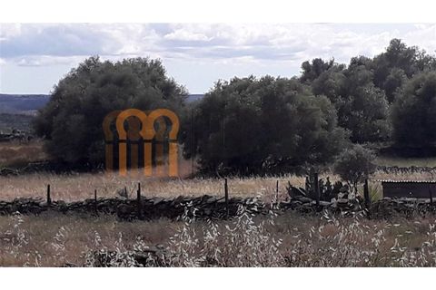 Helårsgrund i Beja, Beja, Beja - € 18.500 | Ref: BYS-402 - foto 3