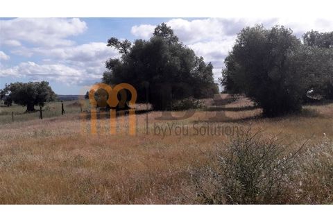 Helårsgrund i Beja, Beja, Beja - € 18.500 | Ref: BYS-402 - foto 5