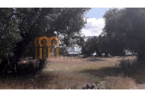 Helårsgrund i Beja, Beja, Beja - € 18.500 | Ref: BYS-402 - foto 7