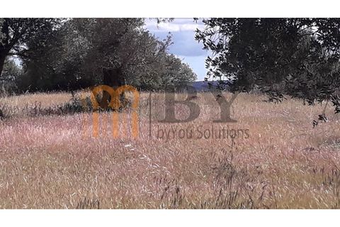 Helårsgrund i Beja, Beja, Beja - € 18.500 | Ref: BYS-402 - foto 9