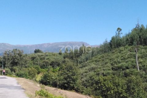 Tomt i Sameice e Santa Eulalia, Guarda, Sameice e Santa Eulalia - € 150 000 | Ref: ZMPT559066 - foto 15