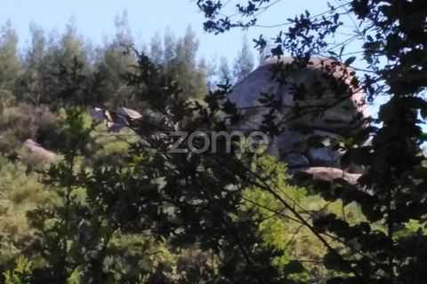 Tomt i Sameice e Santa Eulalia, Guarda, Sameice e Santa Eulalia - € 150 000 | Ref: ZMPT559066 - foto 4
