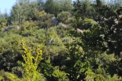Tomt i Sameice e Santa Eulalia, Guarda, Sameice e Santa Eulalia - € 150 000 | Ref: ZMPT559066 - foto 5
