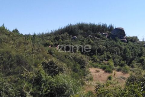 Tomt i Sameice e Santa Eulalia, Guarda, Sameice e Santa Eulalia - € 150 000 | Ref: ZMPT559066 - foto 7