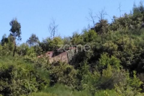 Tomt i Sameice e Santa Eulalia, Guarda, Sameice e Santa Eulalia - € 150 000 | Ref: ZMPT559066 - foto 8