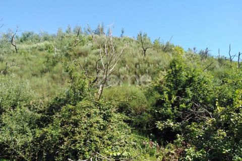 Tomt i Sameice e Santa Eulalia, Guarda, Sameice e Santa Eulalia - € 150 000 | Ref: ZMPT559066 - foto 13