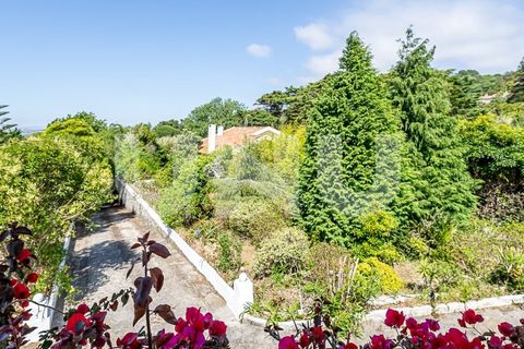 Farm i Almocageme, Lisbon, Almocageme - € 1.700.000 | Ref: UNU.I.1571.12233 - foto 3