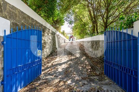 Farm i Almocageme, Lisbon, Almocageme - € 1.700.000 | Ref: UNU.I.1571.12233 - foto 35