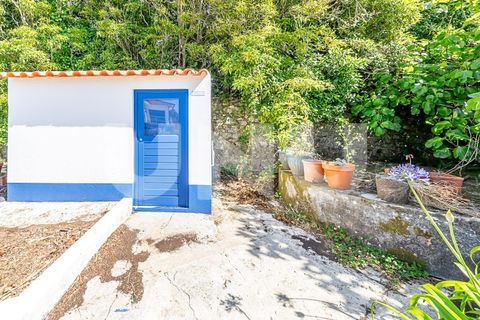 Farm i Almocageme, Lisbon, Almocageme - € 1.700.000 | Ref: UNU.I.1571.12233 - foto 40