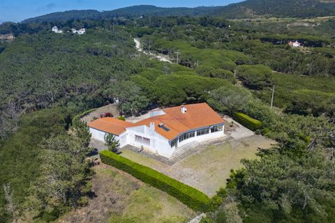 Villa i Sintra, Lisbon, Sintra - € 3.500.000 | Ref: TRI-158-24-AS - foto 2