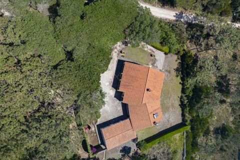 Villa i Sintra, Lisbon, Sintra - € 3.500.000 | Ref: TRI-158-24-AS - foto 5