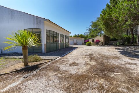 Villa i Sintra, Lisbon, Sintra - € 3.500.000 | Ref: TRI-158-24-AS - foto 12