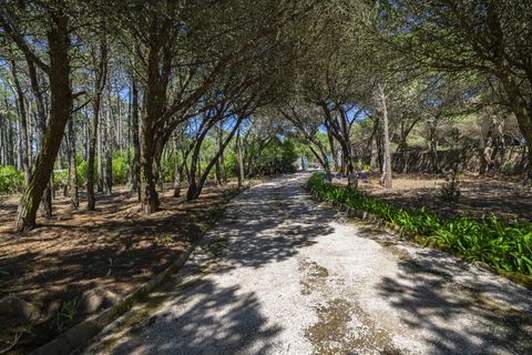 Villa i Sintra, Lisbon, Sintra - € 3.500.000 | Ref: TRI-158-24-AS - foto 19