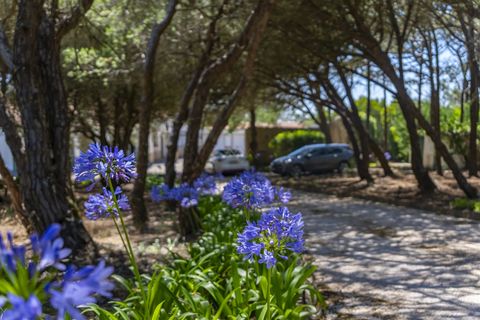 Villa i Sintra, Lisbon, Sintra - € 3.500.000 | Ref: TRI-158-24-AS - foto 20