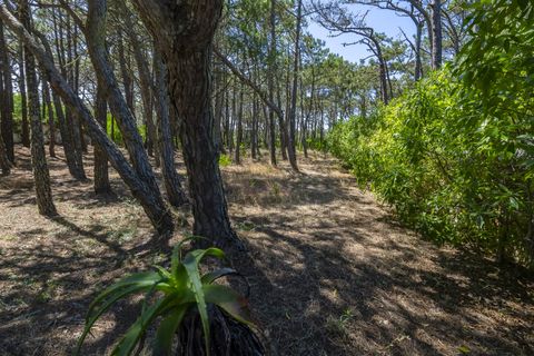 Villa i Sintra, Lisbon, Sintra - € 3.500.000 | Ref: TRI-158-24-AS - foto 21