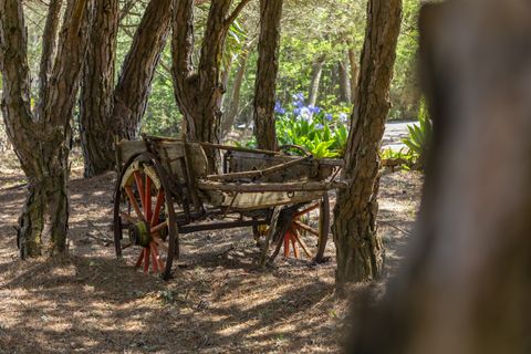 Villa i Sintra, Lisbon, Sintra - € 3.500.000 | Ref: TRI-158-24-AS - foto 22
