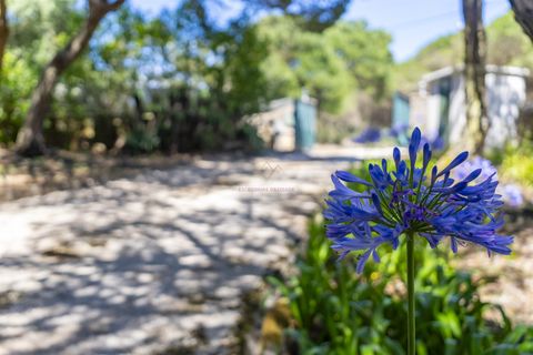 Villa i Sintra, Lisbon, Sintra - € 3.500.000 | Ref: TRI-158-24-AS - foto 23