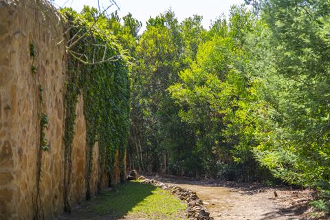 Villa i Sintra, Lisbon, Sintra - € 3.500.000 | Ref: TRI-158-24-AS - foto 24
