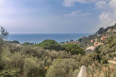 Villa a Camogli, Genoa, Camogli - € 900.000 | Ref: 26435 - foto 12