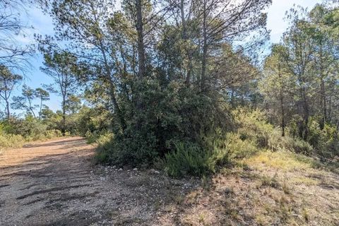 Helårsgrund i Carcès, Var, Carcès - € 17.000 | Ref: 3512 - foto 5
