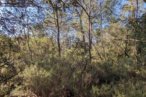 Helårsgrund i Carcès, Var, Carcès - € 17.000 | Ref: 3512 - foto 2