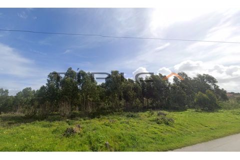 Tomt i A dos Cunhados e Maceira, Lisbon, A dos Cunhados e Maceira - € 850 000 | Ref: TER_3648 - foto 2