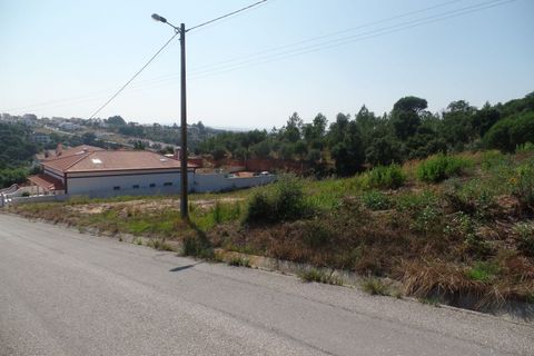 Helårsgrund i Chamusca, Santarem, Chamusca - € 45.000 | Ref: 6368 - foto 3