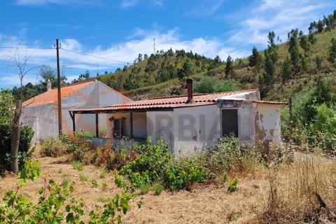 Farm i Silves, Faro, Silves - € 180.000 | Ref: 4372 - foto 2