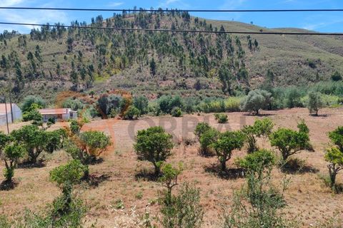 Farm i Silves, Faro, Silves - € 180.000 | Ref: 4372 - foto 8