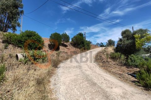 Farm i Silves, Faro, Silves - € 180.000 | Ref: 4372 - foto 9