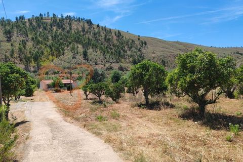 Farm i Silves, Faro, Silves - € 180.000 | Ref: 4372 - foto 11