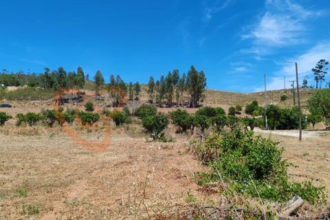 Farm i Silves, Faro, Silves - € 180.000 | Ref: 4372 - foto 12