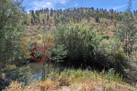 Farm i Silves, Faro, Silves - € 180.000 | Ref: 4372 - foto 13