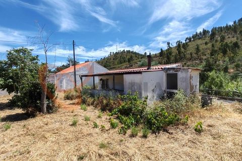 Farm i Silves, Faro, Silves - € 180.000 | Ref: 4372 - foto 15