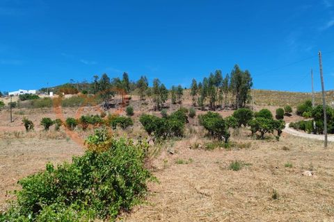 Farm i Silves, Faro, Silves - € 180.000 | Ref: 4372 - foto 16