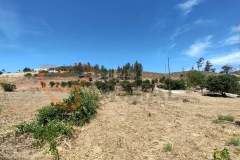 Farm i Silves, Faro, Silves - € 180.000 | Ref: 4372 - foto 19