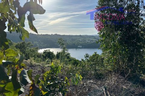Landejendom i Serta, Castelo Branco, Serta - € 79.000 | Ref: VV332/0624 - foto 5