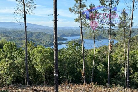Landejendom i Serta, Castelo Branco, Serta - € 79.000 | Ref: VV332/0624 - foto 1